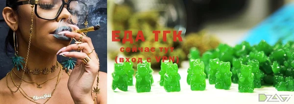 индика Балахна