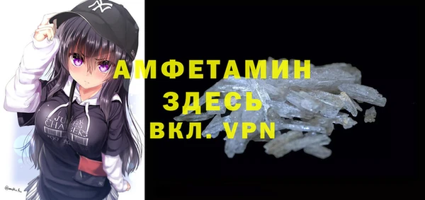 индика Балахна