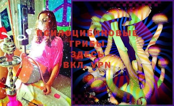 индика Балахна
