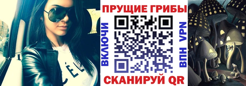 Псилоцибиновые грибы GOLDEN TEACHER  Ядрин 